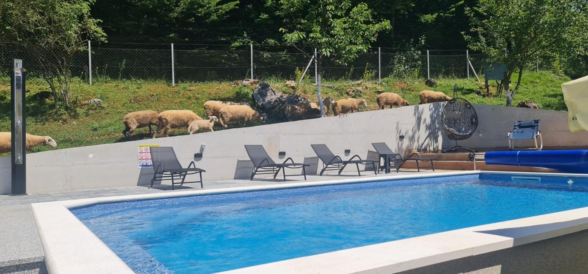 Villa Holiday House Marija à Otočac Extérieur photo
